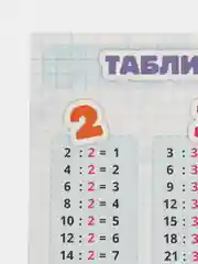 Шпаргалка "Таблица деления", 21*15 см