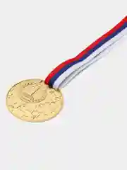 Медаль призовая 1-2-3 место, диаметр 5 см.