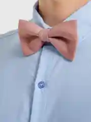 Шоколадный галстук-бабочка "Какао"