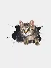 Оливковый наклейка на авто "Кошка 3Д", с эффектом дыры в корпусе машины