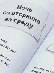 Дневник Стива, застрявшего в Minecraft. Книга 1, Переводчик Гитлиц Александр