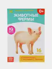 Серебряный развивающие карточки по методике Г. Домана