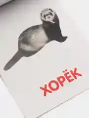 Желтый развивающие карточки по методике Г. Домана