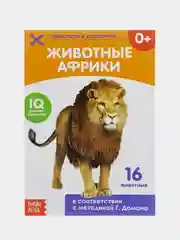 Белый развивающие карточки по методике Г. Домана