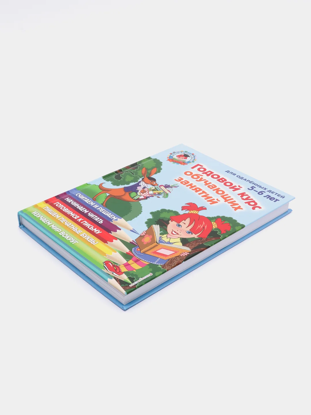 Годовой курс обучающих занятий: для детей 5-6 лет, Володина Н.В., Егупова В.А