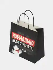 Пакет подарочный на день рождения "Нормально надо отвечать", 22х22х11 см