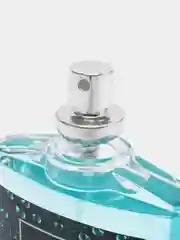 Туалетная вода мужская Ocean di Aqua, 100 мл