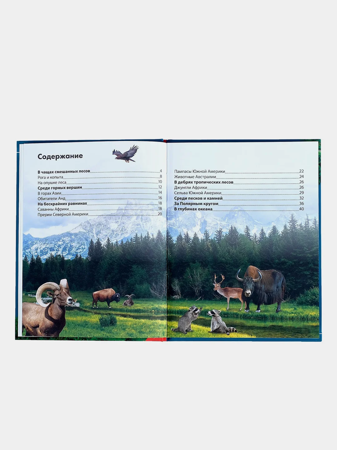 Энциклопедии для детей, несколько видов