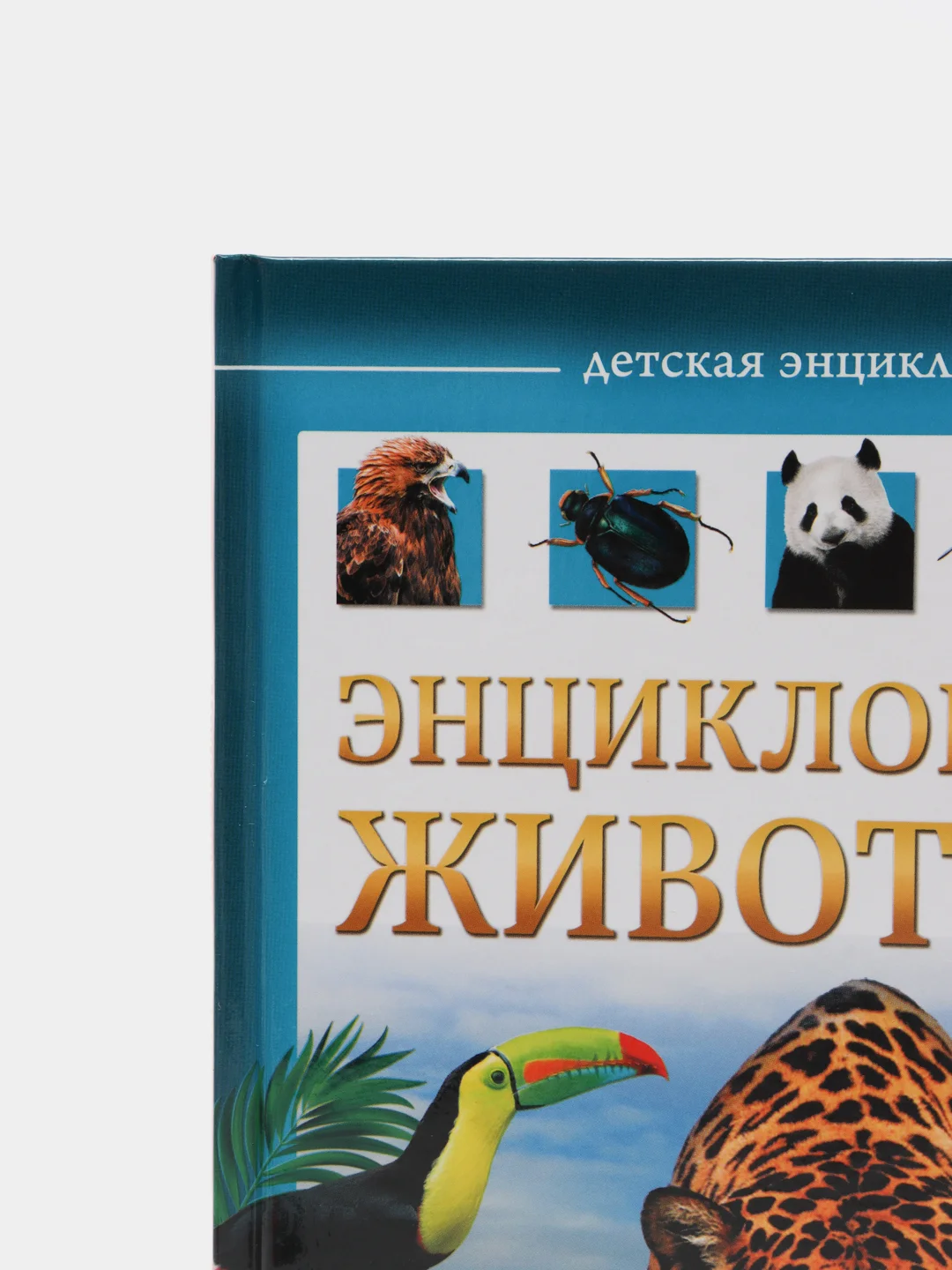 Энциклопедии для детей, несколько видов