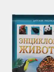 Энциклопедии для детей, несколько видов