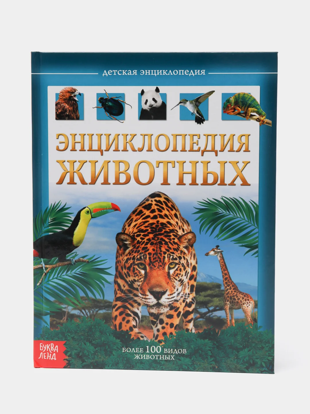 Энциклопедии для детей, несколько видов