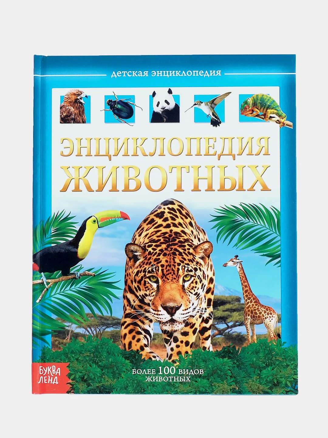 Энциклопедии для детей, несколько видов