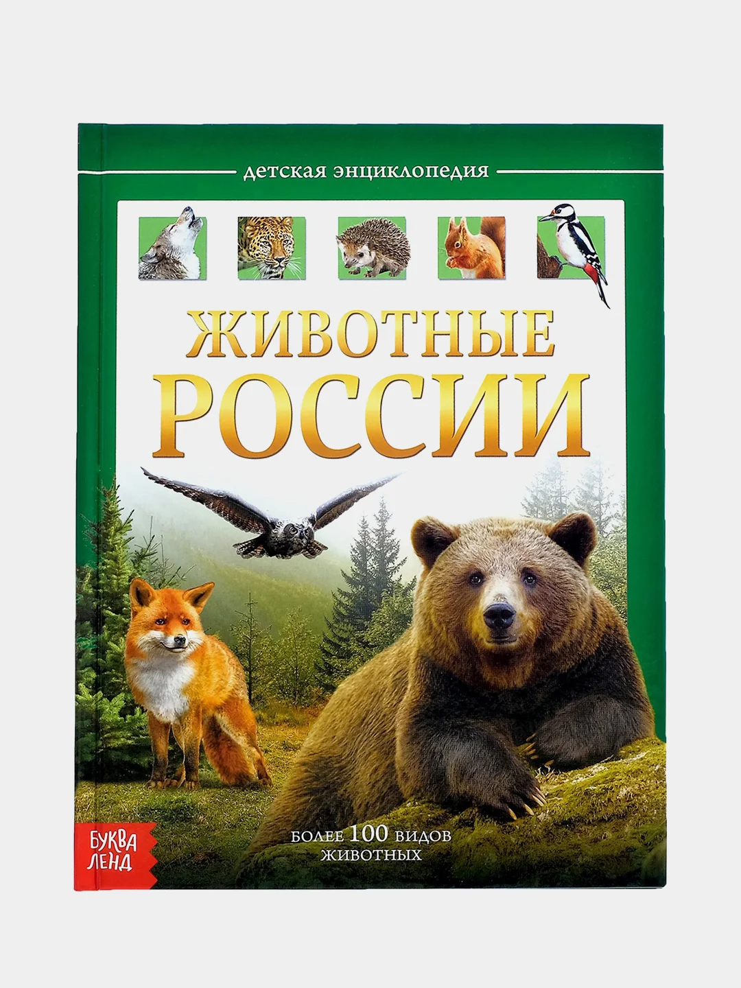 Энциклопедии для детей, несколько видов