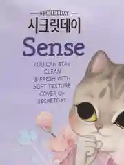 Ультратонкие дышащие прокладки Secretday Sense Large, 14 шт