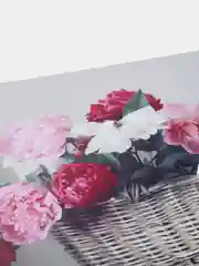 Картина на холсте "Пионы", 90х55см