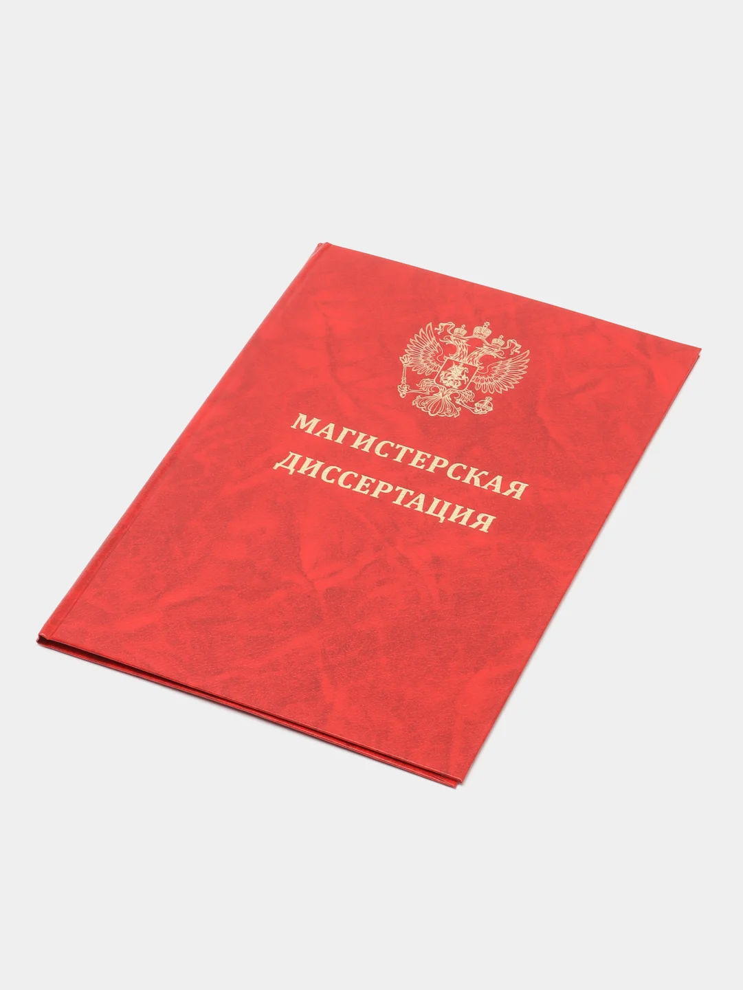 Папка "Магистерская диссертация" без бумаги, с гербом