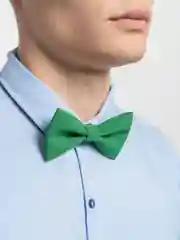 Зеленый однотонная мужская бабочка