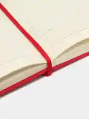 Красный ежедневник, еженедельник, планер, блокнот, скетчбук датированный 2022 год, А5
