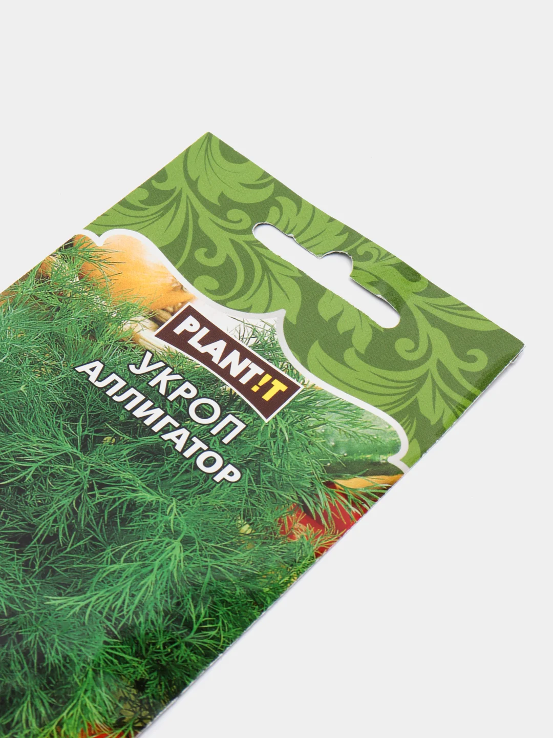 Семена укропа "Аллигатор"