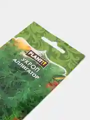 Семена укропа "Аллигатор"