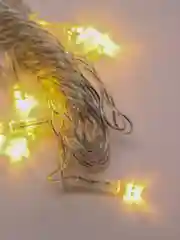 Гирлянда штора занавес светодиодная, 350/600, LED