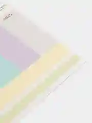 Прозрачный расписание уроков с расписанием звонков для школы, A4