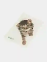 Зеленый наклейка для декора и интерьера "Котёнок", 3D