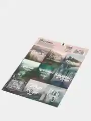 Лесной зеленый наклейки новогодние для ежедневника, цветов и подарков на Новый год