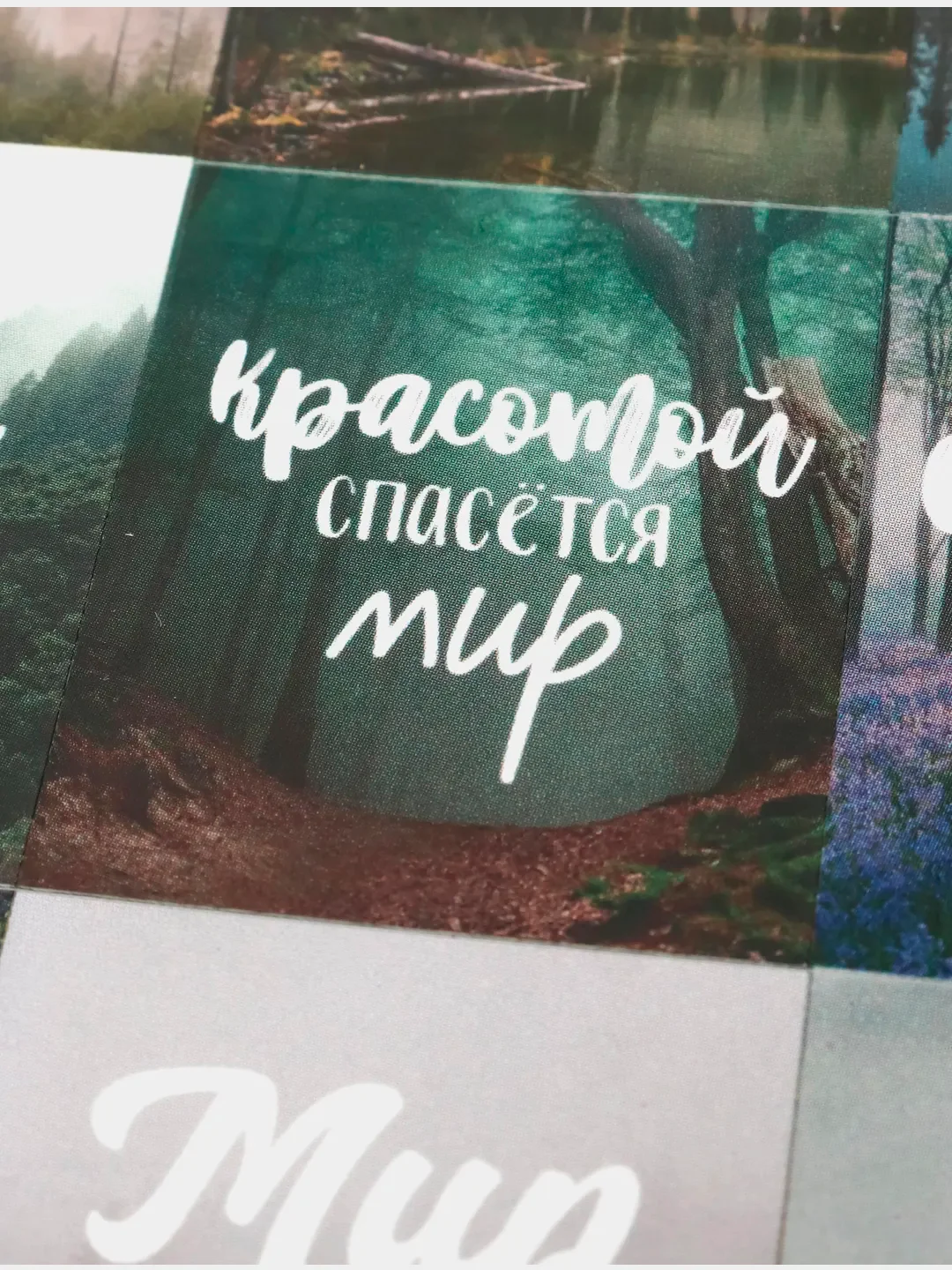 Лесной зеленый наклейки новогодние для ежедневника, цветов и подарков на Новый год