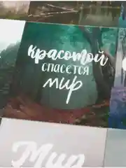 Лесной зеленый наклейки новогодние для ежедневника, цветов и подарков на Новый год