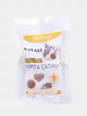 Голубой лакомства, кошачья мята
