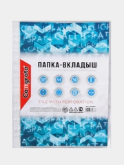 Файл-вкладыш А4, Calligrata, глянцевый, вертикальный, 100 штук, эконом