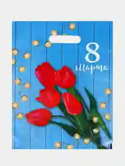 Коралловый пакет подарочный, 30 х 40 см 23 февраля, 8 марта