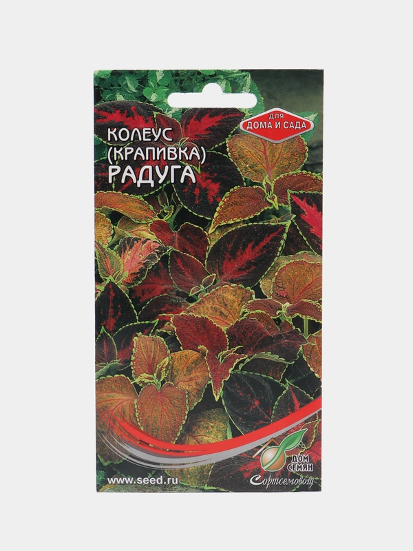 Семена комнатных цветов Колеус "Блюма Радуга", 130 штук