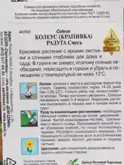 Семена комнатных цветов Колеус "Блюма Радуга", 130 штук