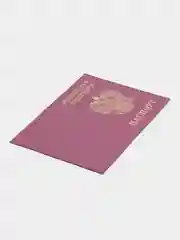 Розовый обложка для паспорта с гербом натуральная кожа / Обложка герб / Обложка для паспорта РФ