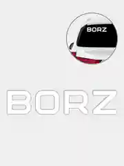 Белый наклейка Borz, виниловая, на автомобиль