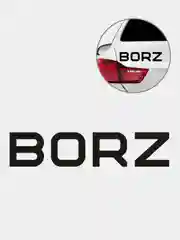 Черный наклейка Borz, виниловая, на автомобиль