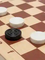 Шашки пластмассовые, с деревянной доской, 290 х 145 х 46