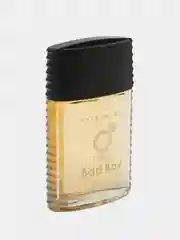 Туалетная вода мужская с феромонами Lovelas Bad Boy, 100 мл
