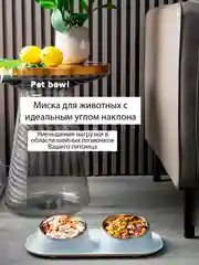 Двойная миска на подставке для кошек и собак металлическая (кормушка для воды и корма)