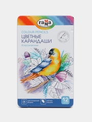 Карандаши цветные Гамма "Классические", 12 цветов