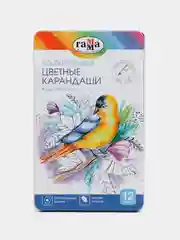 Карандаши цветные Гамма "Классические", 12 цветов