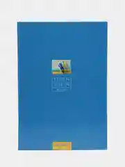 Книга учета А4, 96 л, клетка
