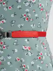 Красный пояс женский эластичный, с круглой пряжкой с цветком, 4 цвета