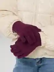 Вишнёвый демисезонные перчатки