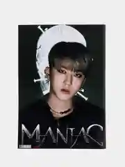 Тетрадь к поп Stray Kids 64 листа