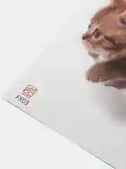 Желтый наклейка для декора и интерьера "Котёнок", 3D