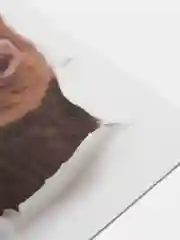 Желтый наклейка для декора и интерьера "Котёнок", 3D