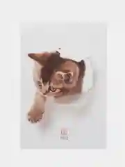 Красный наклейка для декора и интерьера "Котёнок", 3D
